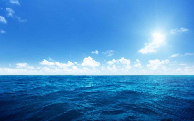 一张美味的图片 · #3238