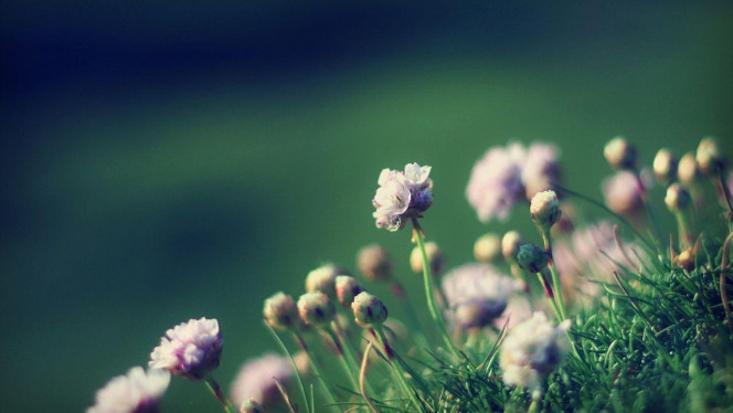 一张美味的图片 · #3605