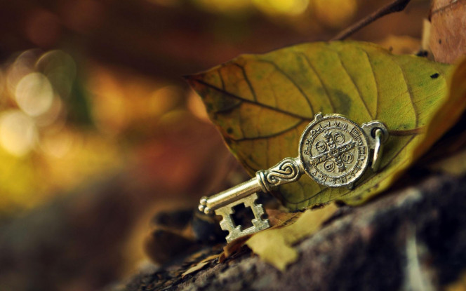 一张美味的图片 · #3380