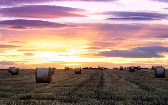 一张美味的图片 · #3652