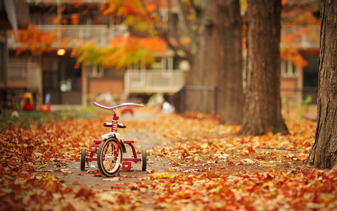 一张美味的图片 &middot; #40