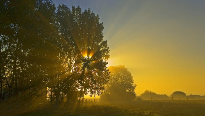 一张美味的图片 · #4234