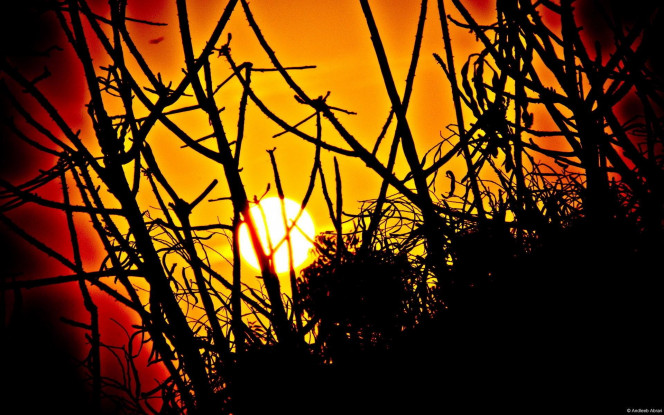 一张美味的图片 · #1973