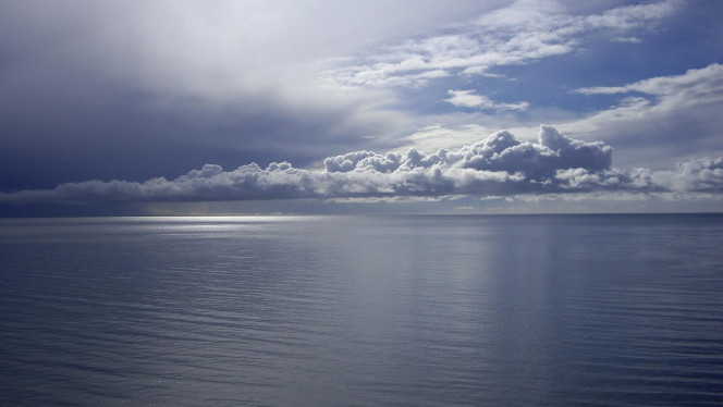 一张美味的图片 · #3916