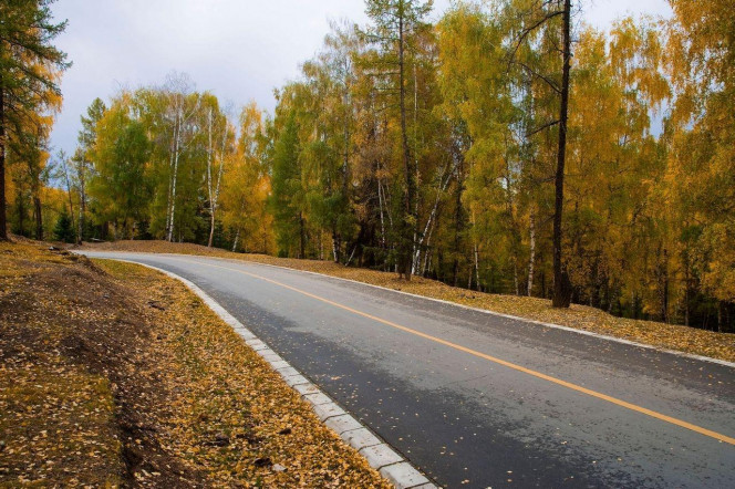 一张美味的图片 · #2093