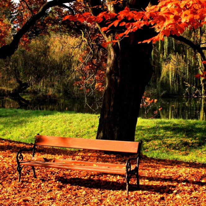 一张美味的图片 · #2368