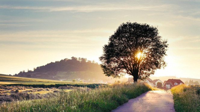 一张美味的图片 · #4236