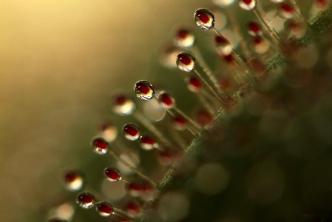 一张美味的图片 · #2837