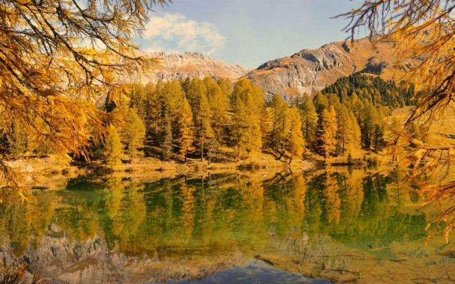 一张美味的图片 &middot; #4035