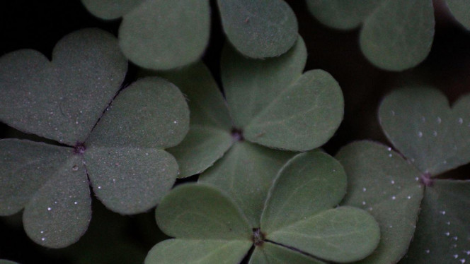 一张美味的图片 · #3461