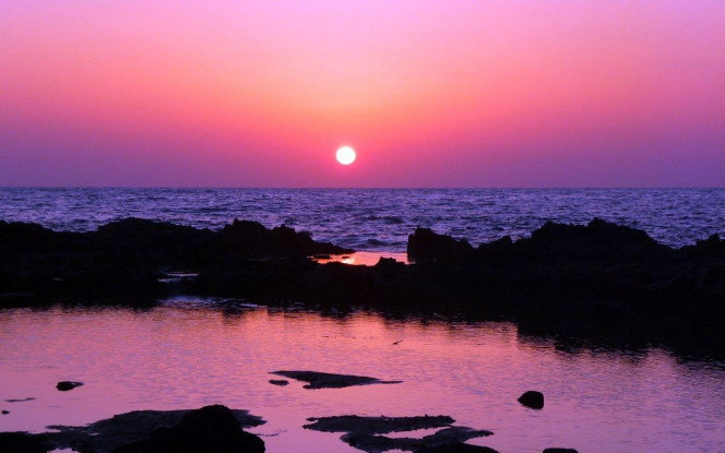 一张美味的图片 · #2714