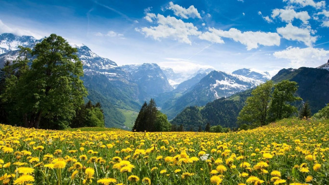 一张美味的图片 · #2664