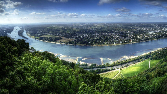 一张美味的图片 · #2774