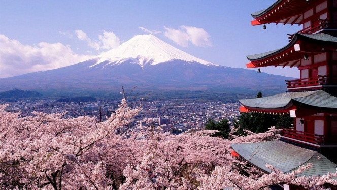 一张美味的图片 · #4059