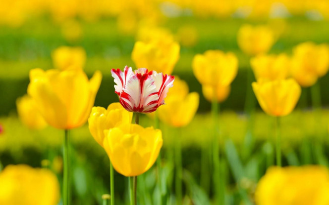 一张美味的图片 · #2895