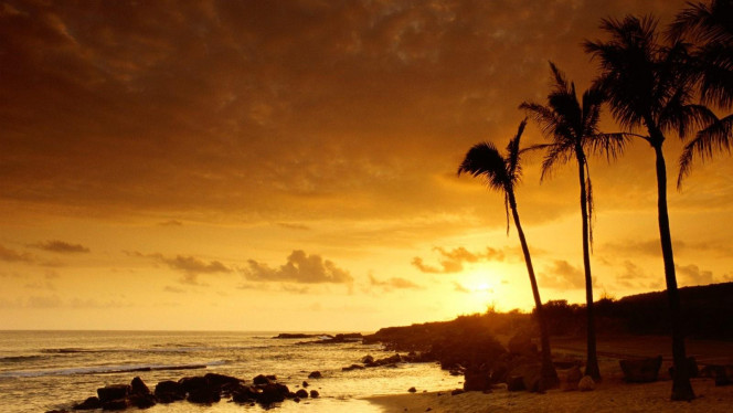 一张美味的图片 · #4583