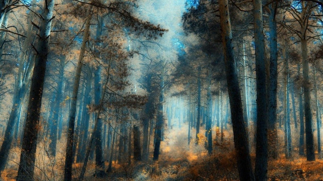 一张美味的图片 · #2280