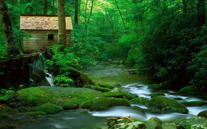 一张美味的图片 · #2741