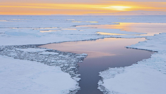 一张美味的图片 · #4544