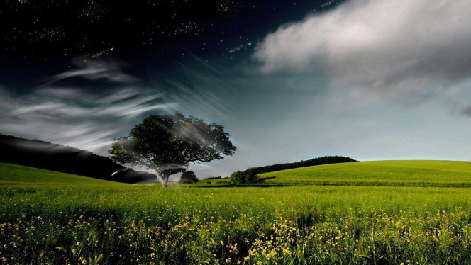 一张美味的图片 · #3904