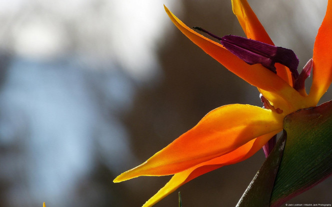 一张美味的图片 · #1892