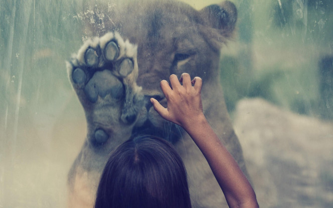 一张美味的图片 &middot; #5145