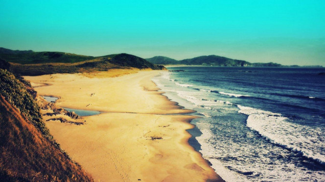 一张美味的图片 · #2545