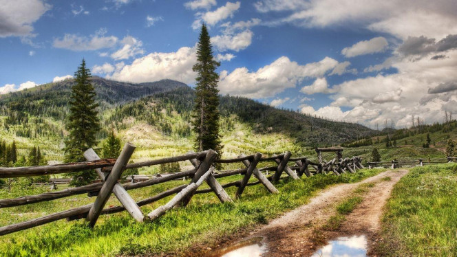 一张美味的图片 · #2320