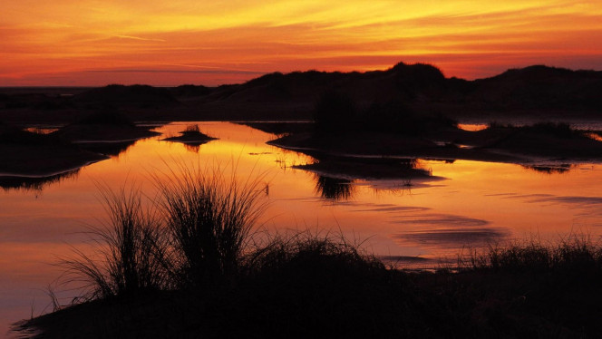 一张美味的图片 · #4278