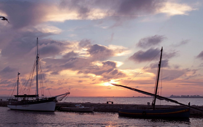 一张美味的图片 &middot; #63