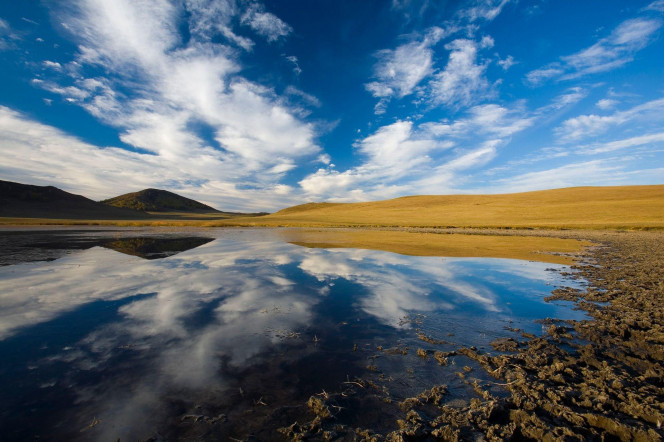 一张美味的图片 · #3798