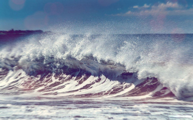 一张美味的图片 · #2275