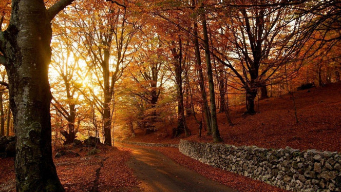 一张美味的图片 · #3303