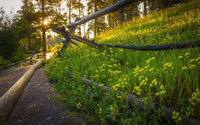 一张美味的图片 · #3999