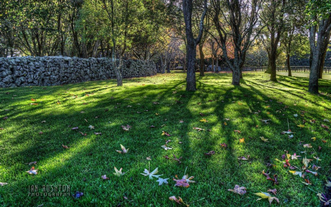 一张美味的图片 · #1912