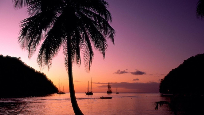 一张美味的图片 · #4585