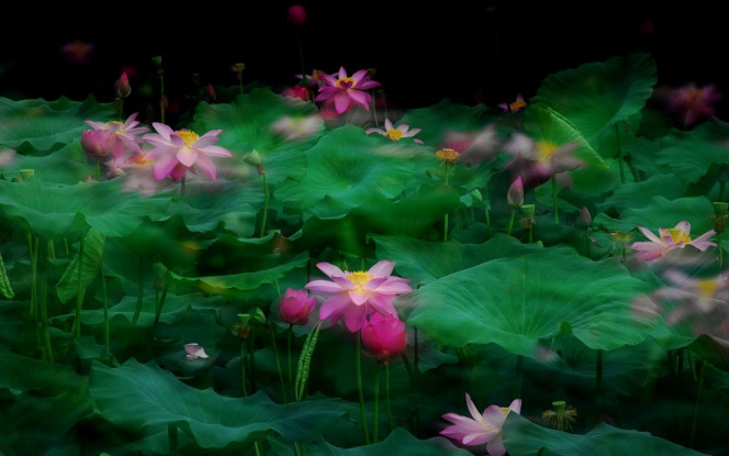 一张美味的图片 · #2601