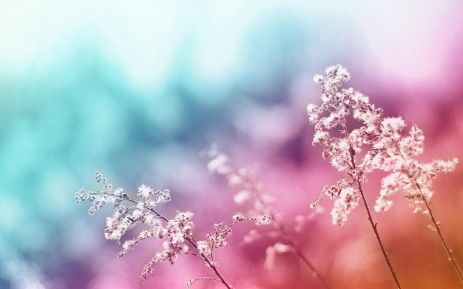 一张美味的图片 · #2479