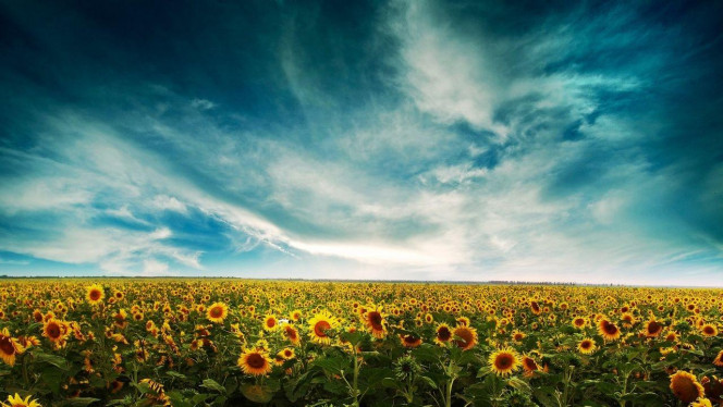 一张美味的图片 · #2415