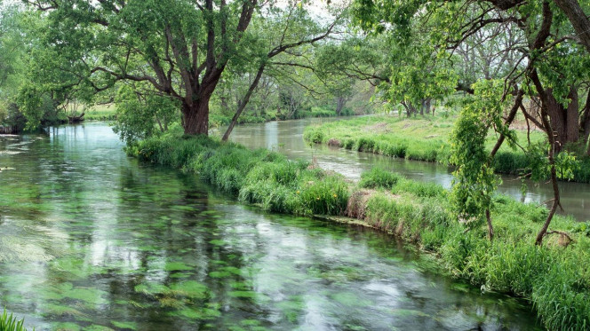 一张美味的图片 · #2431