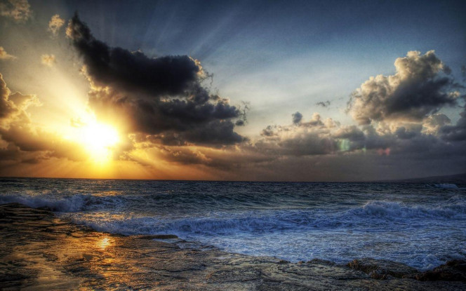 一张美味的图片 · #2539