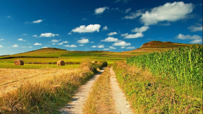 一张美味的图片 · #2315