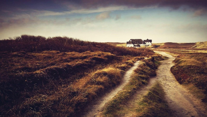 一张美味的图片 · #2481