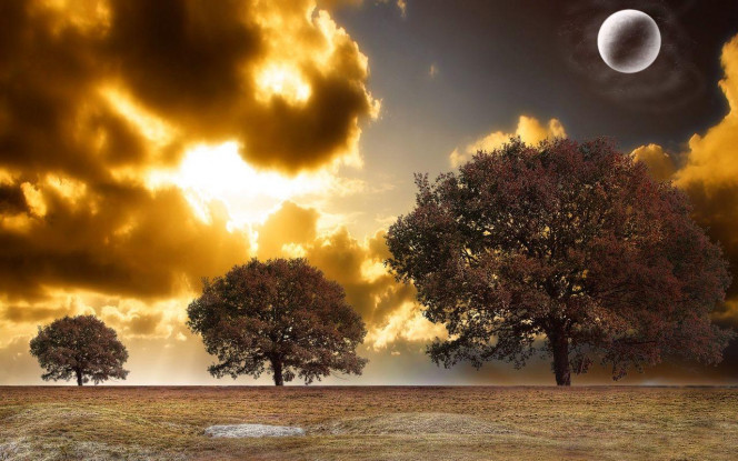 一张美味的图片 · #2297