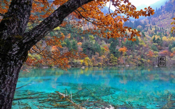 一张美味的图片 · #4016