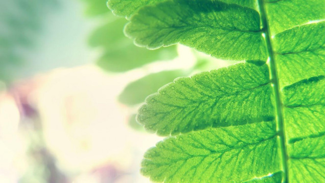 一张美味的图片 · #3469