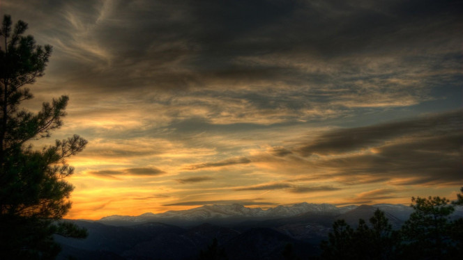 一张美味的图片 · #3917