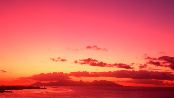 一张美味的图片 · #4077