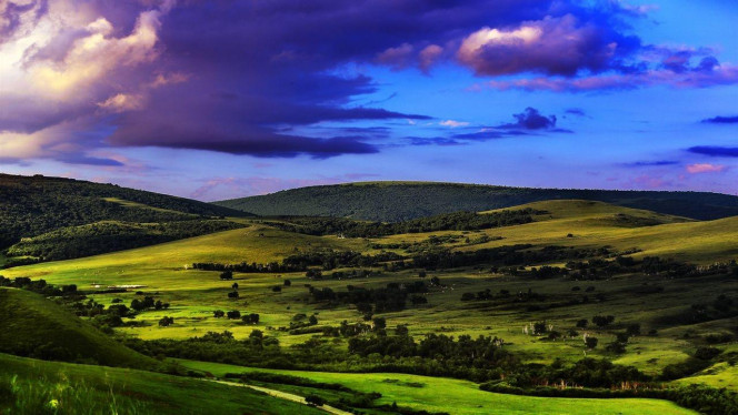 一张美味的图片 · #3710