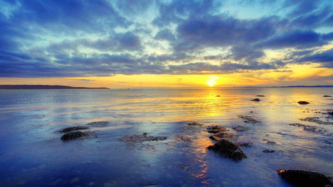 一张美味的图片 · #3451